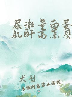 尿微量白蛋白尿肌酐高怎么治