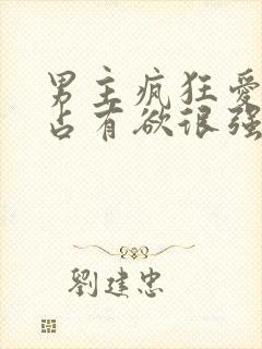 男主疯狂爱女主占有欲很强的小说