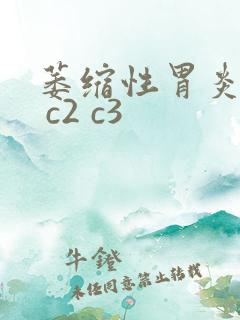 萎缩性胃炎c1 c2 c3