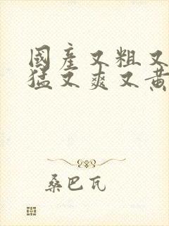 国产又粗又 又猛又爽又黄