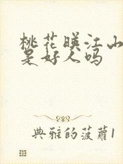 桃花映江山皇上是好人吗