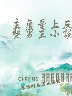 主角爱上反派的双男主小说