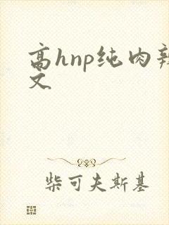 高hnp纯肉辣文