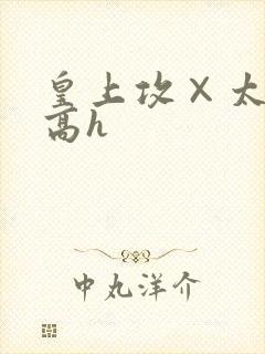 皇上攻×太子受高h