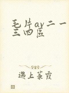 毛片av二一二三四区