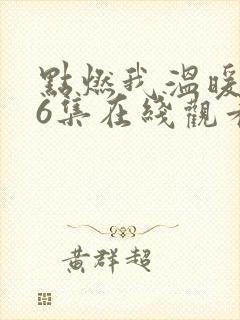 点燃我温暖你36集在线观看