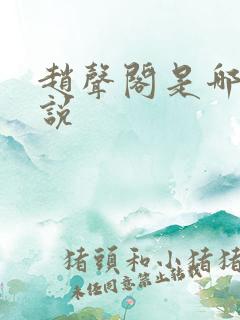 赵声阁是哪本小说