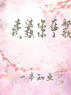 老婆你在哪老公我想你了歌词