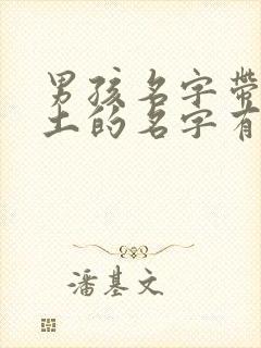 男孩名字带金带土的名字有哪些