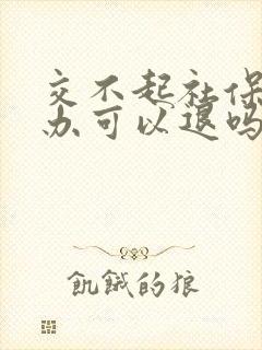 交不起社保怎么办可以退吗