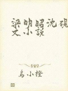 梁明昭沈砚卿全文小说