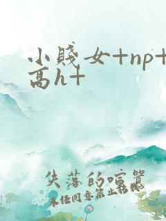 小贱女+np+高h+