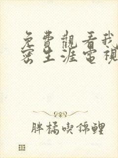 免费观看我的绝密生涯电视剧