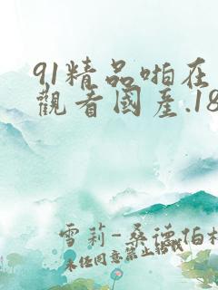 91精品啪在线观看国产.18