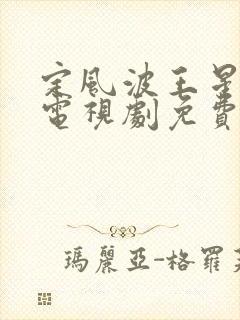 定风波王星越版电视剧免费观看全集高清