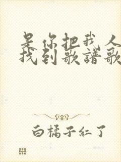 是你把我人海中找到歌谱歌词