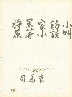 将军家的小儿子原著小说叫什么