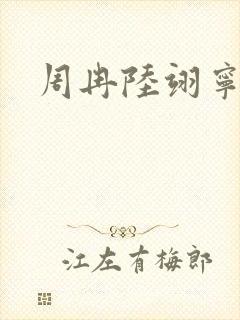 周冉陆翊宁短剧