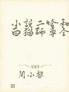 小说二哈和他的白猫师尊全文