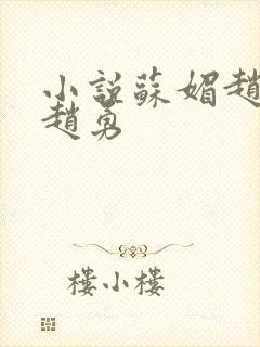 小说苏媚赵大宝赵勇