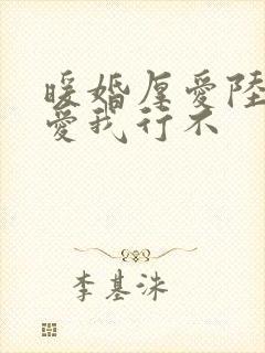 暖婚厚爱陆先生爱我行不