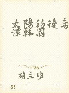 太阳的后裔李采潭韩国