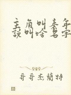 主角叫秦年的小说叫啥名字