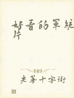 好看的军统谍战片