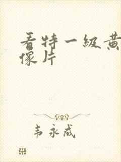 看特一级黄色录像片