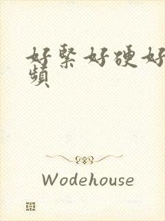 好紧好硬好爽视频