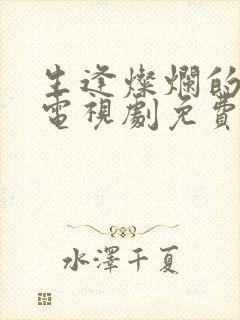 生逢灿烂的日子电视剧免费观看完整版