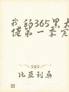 我的365黑大佬第一季完整看