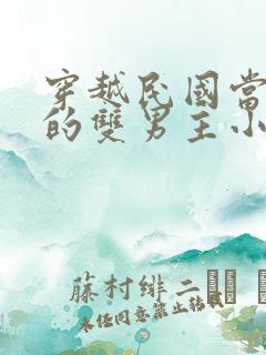 穿越民国当男妻的双男主小说