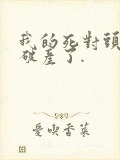 我的死对头终于破产了.