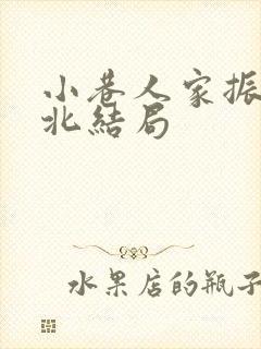 小巷人家振东振北结局