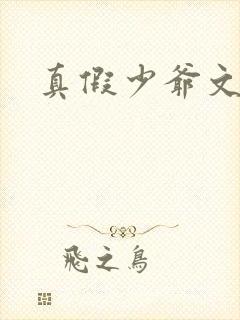 真假少爷文