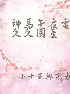 神马午夜电影网久久国产