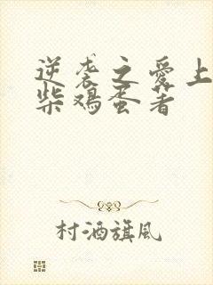 逆袭之爱上情敌柴鸡蛋著