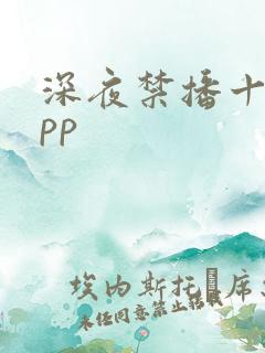 深夜禁播十大app