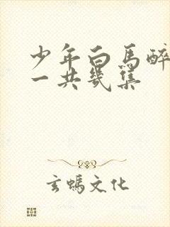 少年白马醉春风一共几集