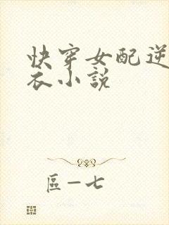 快穿女配逆袭淡衣小说