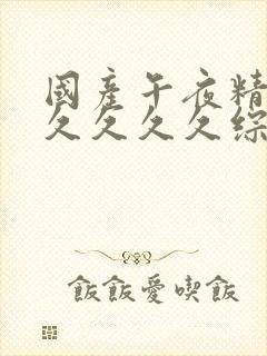 国产午夜精品久久久久久综合