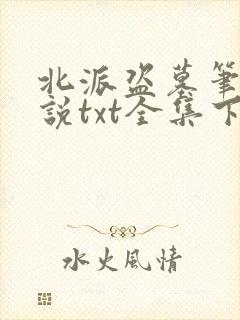 北派盗墓笔记小说txt全集下载