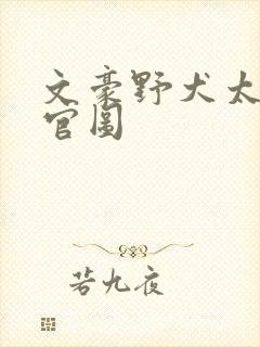 文豪野犬太宰治官图