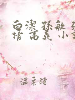 白洁 孙敏 张倩 高义 小说