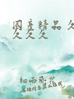 国产精品 久久久久久