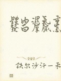 体内湿气重舌苔发白厚腻怎么调理