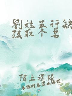 刘姓五行缺金男孩取个名