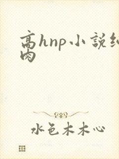 高hnp小说纯肉
