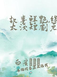 故事鲜艳,缘分太浅短剧免费